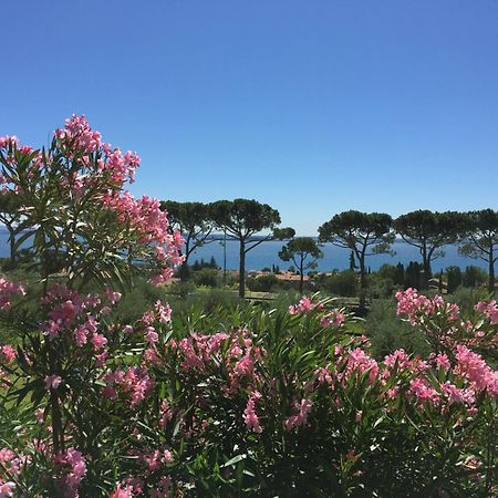 Agriturismo Nonna Bettina Moniga del Garda Extérieur photo