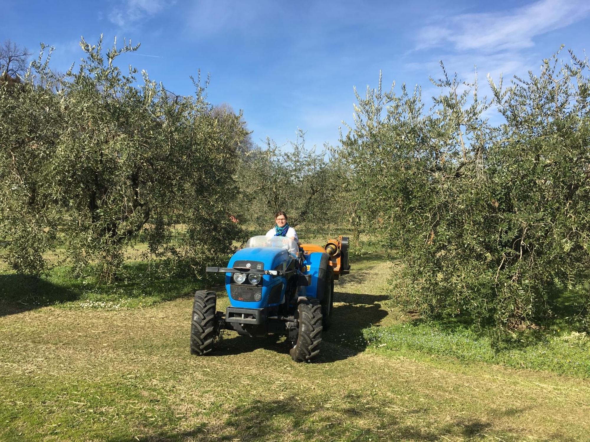Agriturismo Nonna Bettina Moniga del Garda Extérieur photo