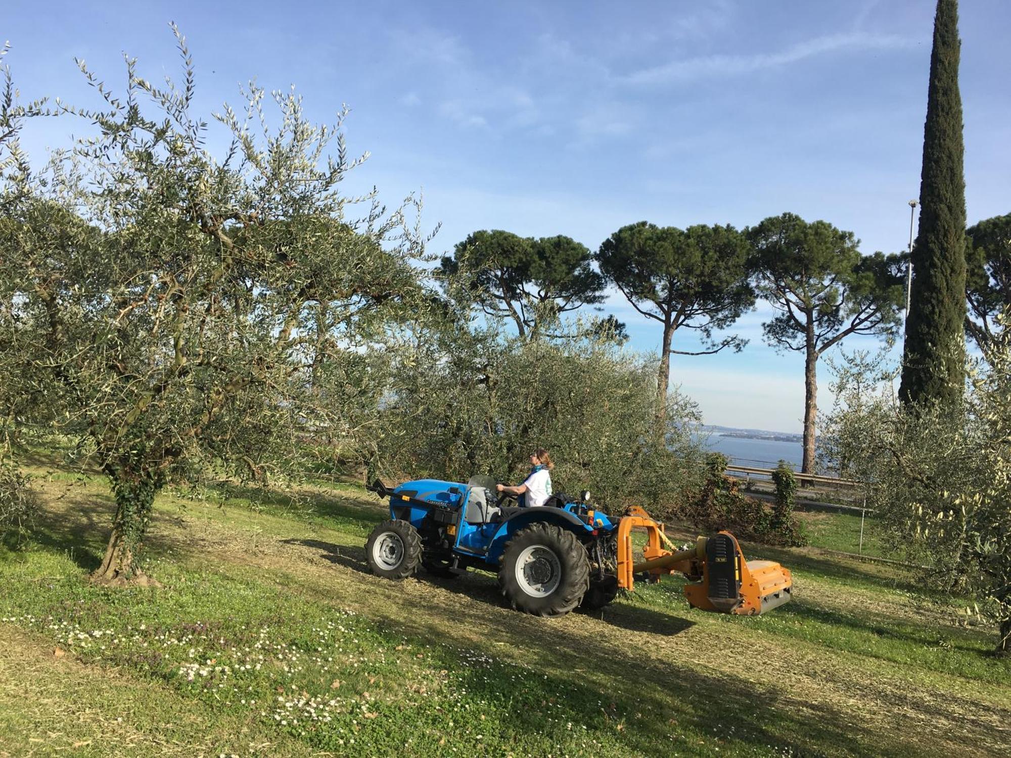 Agriturismo Nonna Bettina Moniga del Garda Extérieur photo