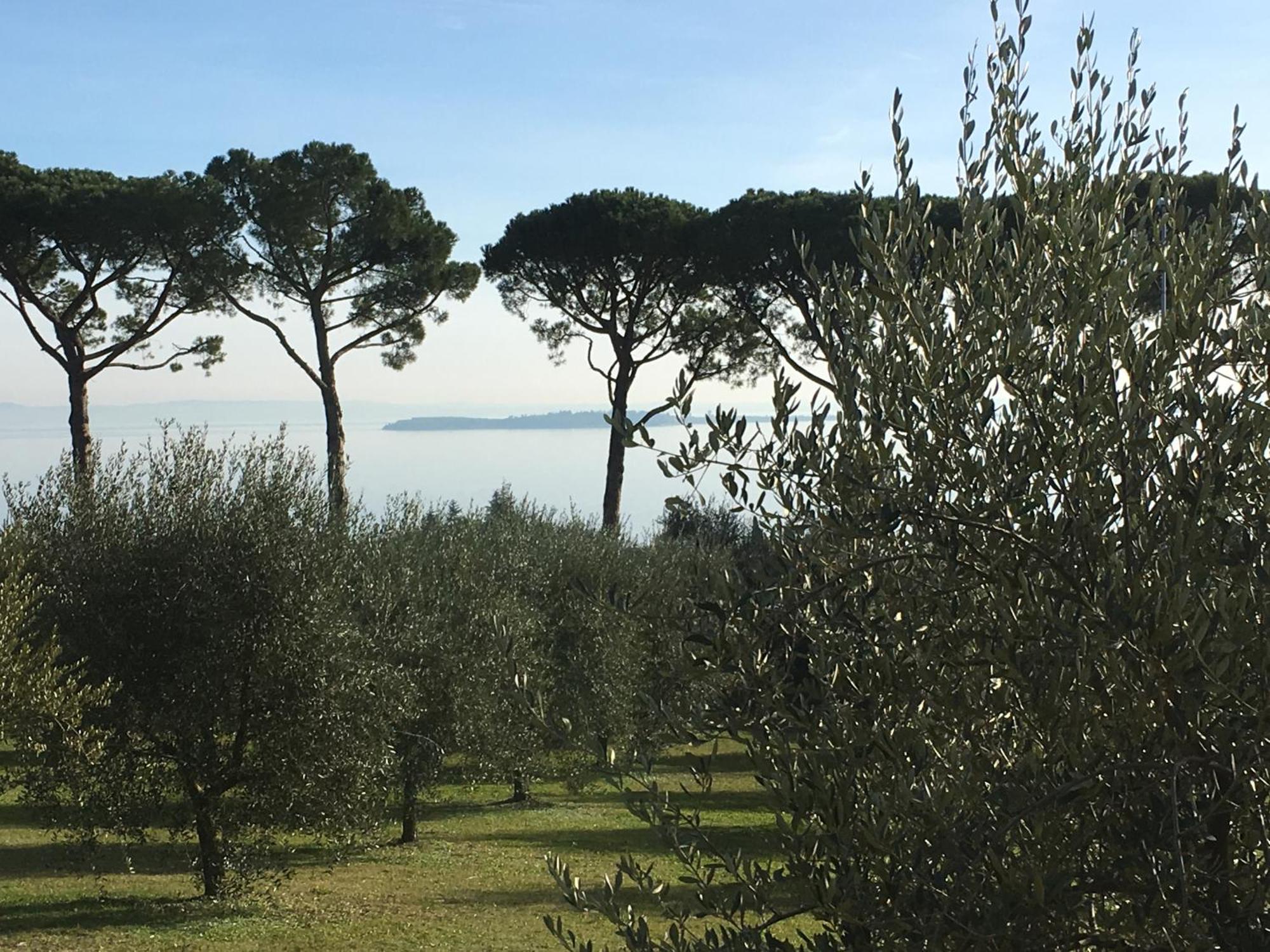 Agriturismo Nonna Bettina Moniga del Garda Extérieur photo