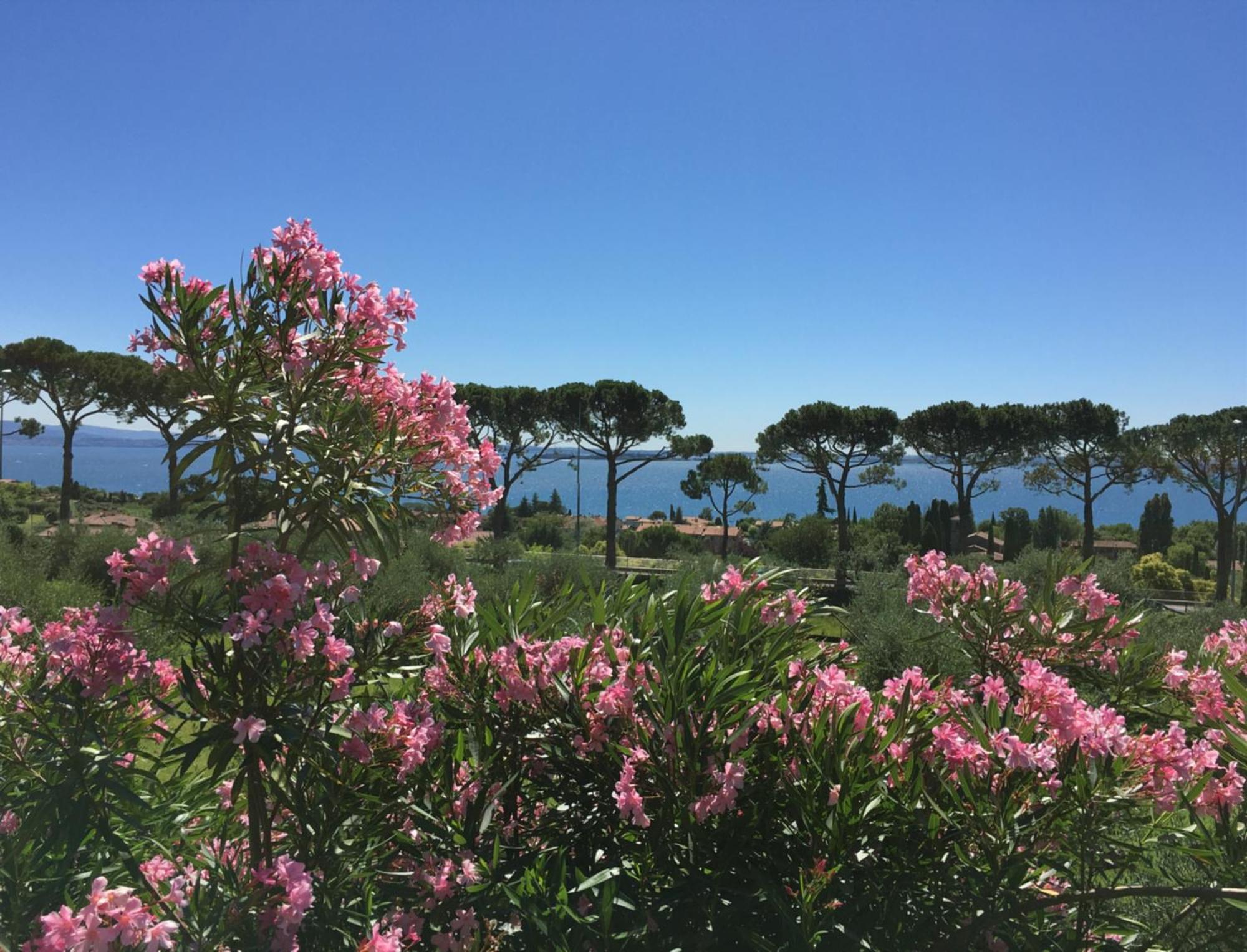Agriturismo Nonna Bettina Moniga del Garda Extérieur photo